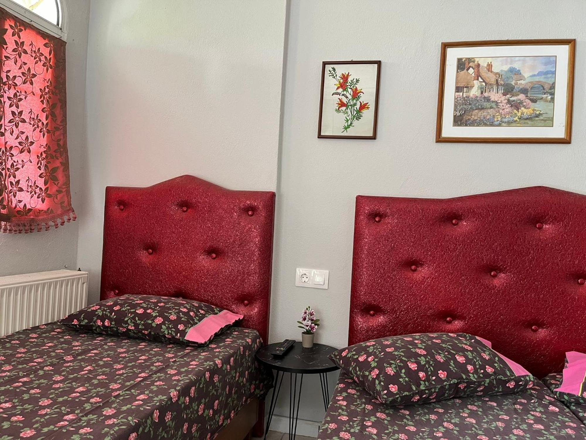 Villa Elli Olympiakí Aktí Extérieur photo