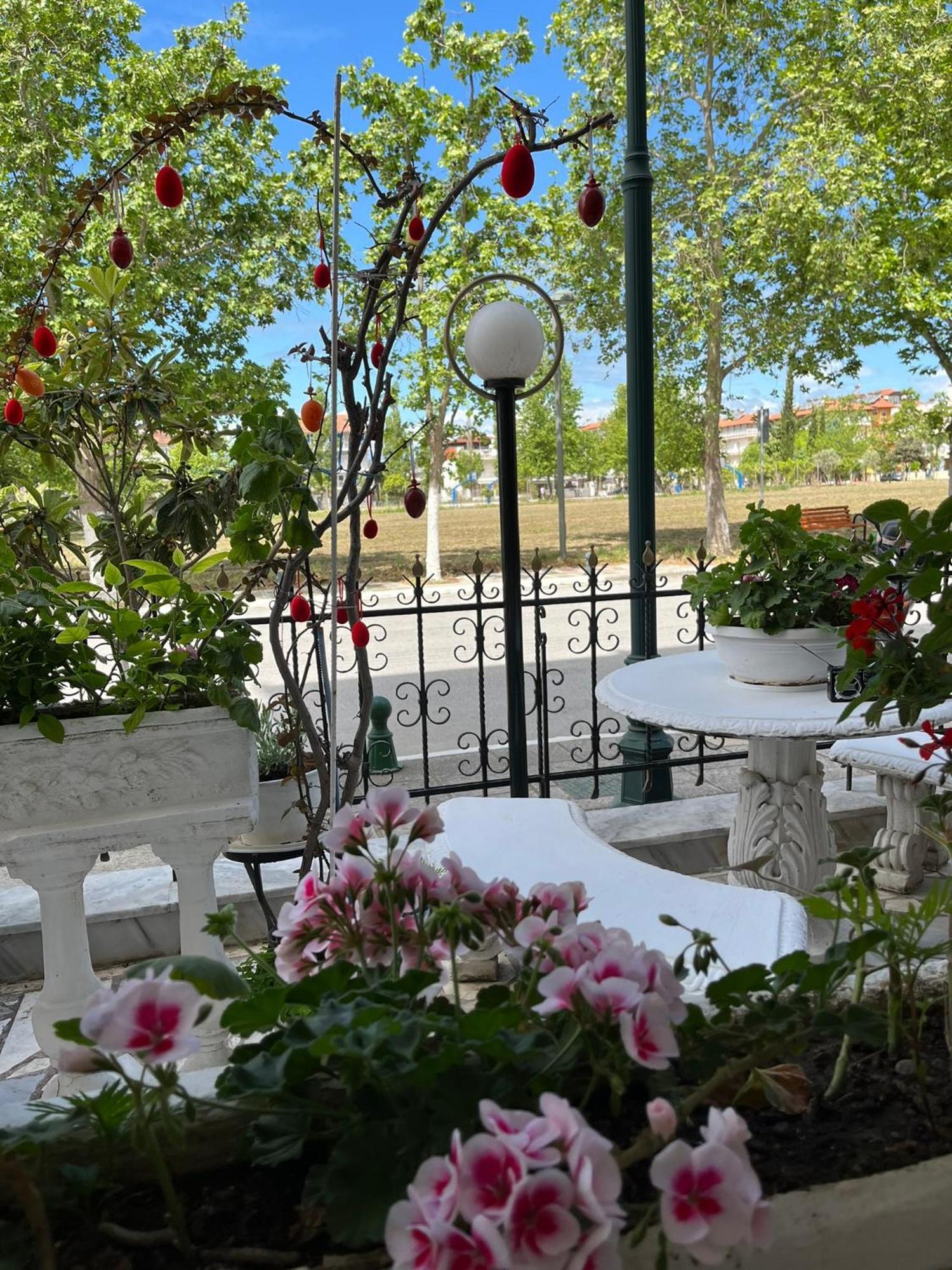 Villa Elli Olympiakí Aktí Extérieur photo