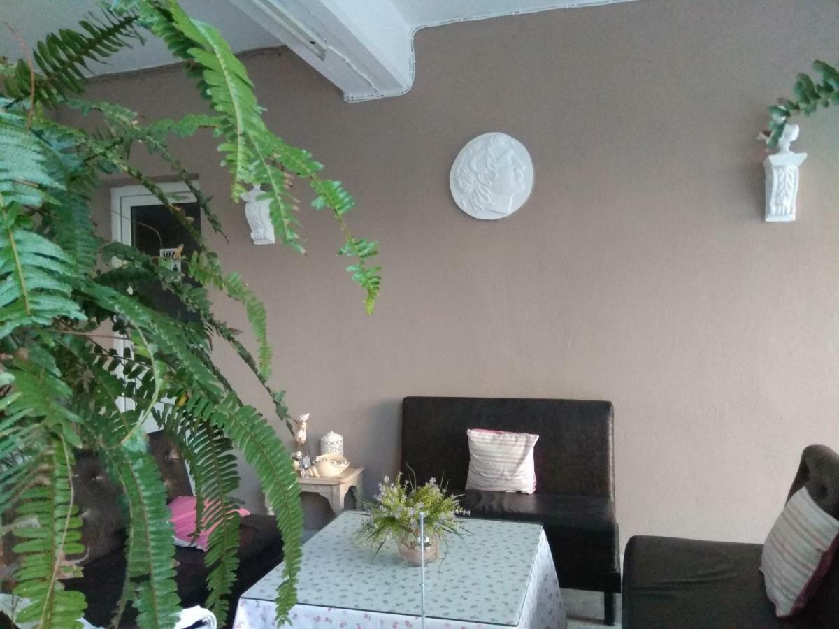 Villa Elli Olympiakí Aktí Extérieur photo
